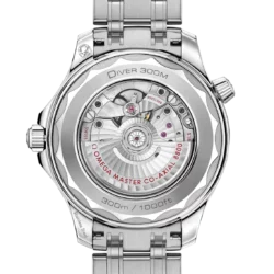 omega-seamaster-diver-300m-co-axial-master-chronometer-42-mm-21030422003001-portrait-1-5f9069